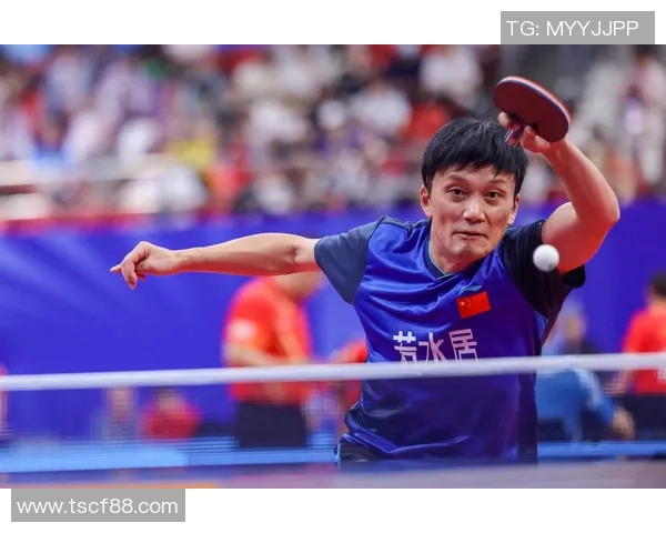 乒乓球技艺探秘：深入分析西安乒乓球队的防守与反击策略