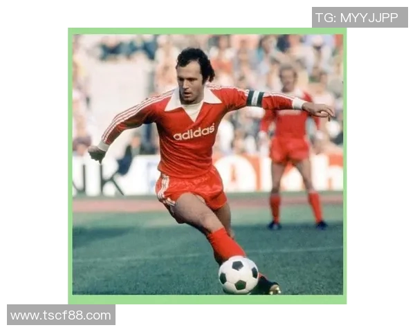 帝王之风足球明星的荣耀与传奇之路